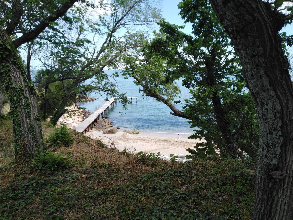 Private In Saint Elena Apartment